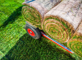 Turf-Conversion-Royl