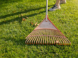 brush-clean-1 brush-clean-1